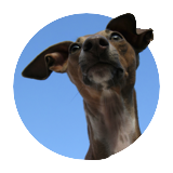 ears
